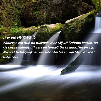 Picture 02 - Jeremia 6:20 NLD - Waartoe zal dan de wierook voor Mij uit Scheba - Bible Verse Picture