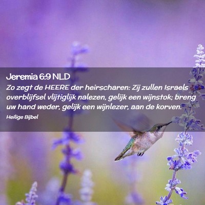 Picture 02 - Jeremia 6:9 NLD - Zo zegt de HEERE der heirscharen: Zij zullen - Bible Verse Picture