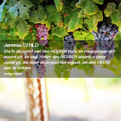 Picture 02 - Jeremia 7:2 NLD - Sta in de poort van des HEEREN huis, en roep - Bible Verse Picture