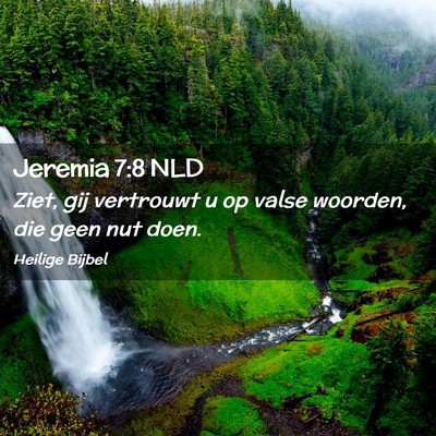 Picture 02 - Jeremia 7:8 NLD - Ziet, gij vertrouwt u op valse woorden, die geen - Bible Verse Picture