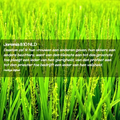 Picture 02 - Jeremia 8:10 NLD - Daarom zal Ik hun vrouwen aan anderen geven, hun - Bible Verse Picture