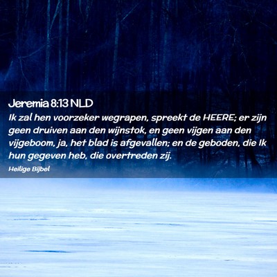 Picture 02 - Jeremia 8:13 NLD - Ik zal hen voorzeker wegrapen, spreekt de HEERE; - Bible Verse Picture
