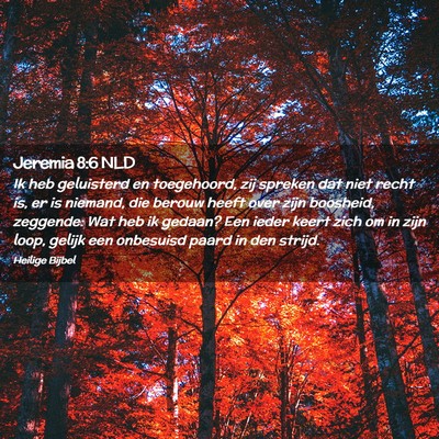 Picture 02 - Jeremia 8:6 NLD - Ik heb geluisterd en toegehoord, zij spreken dat - Bible Verse Picture