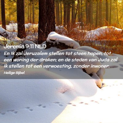 Picture 02 - Jeremia 9:11 NLD - En Ik zal Jeruzalem stellen tot steen hopen, tot - Bible Verse Picture