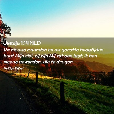 Picture 02 - Jesaja 1:14 NLD - Uw nieuwe maanden en uw gezette hoogtijden haat - Bible Verse Picture