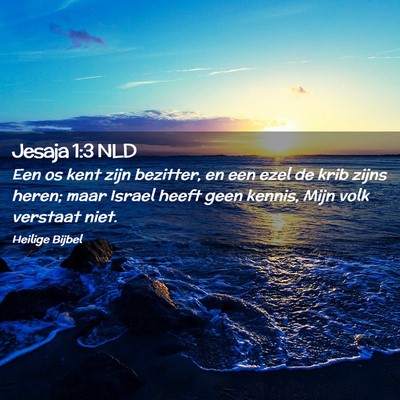 Picture 02 - Jesaja 1:3 NLD - Een os kent zijn bezitter, en een ezel de krib - Bible Verse Picture