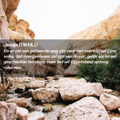 Picture 02 - Jesaja 11:16 NLD - En er zal een gebaande weg zijn voor het - Bible Verse Picture