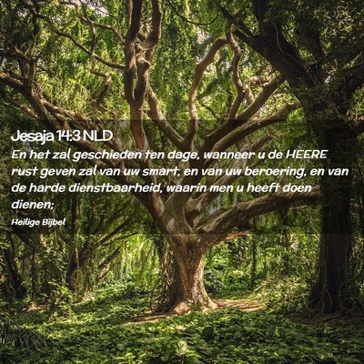 Picture 02 - Jesaja 14:3 NLD - En het zal geschieden ten dage, wanneer u de - Bible Verse Picture