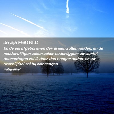 Picture 02 - Jesaja 14:30 NLD - En de eerstgeborenen der armen zullen weiden, en - Bible Verse Picture