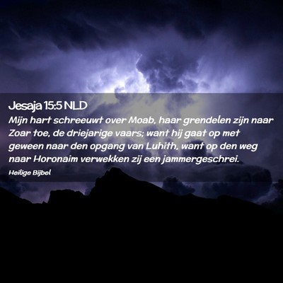 Picture 02 - Jesaja 15:5 NLD - Mijn hart schreeuwt over Moab, haar grendelen - Bible Verse Picture