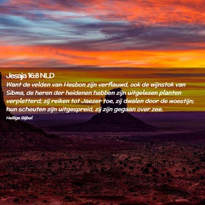 Picture 02 - Jesaja 16:8 NLD - Want de velden van Hesbon zijn verflauwd, ook de - Bible Verse Picture