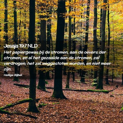 Picture 02 - Jesaja 19:7 NLD - Het papiergewas bij de stromen, aan de oevers der - Bible Verse Picture