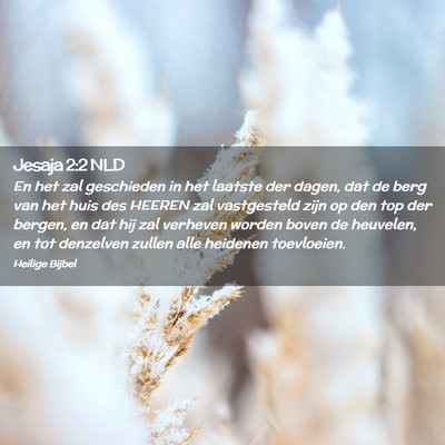 Picture 02 - Jesaja 2:2 NLD - En het zal geschieden in het laatste der dagen, - Bible Verse Picture