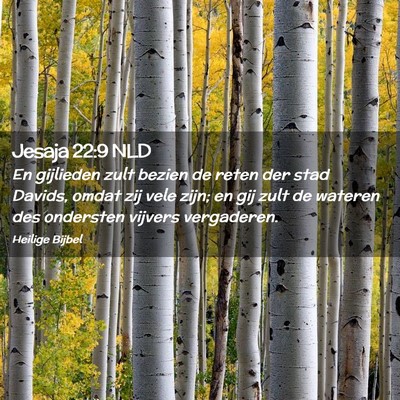 Picture 02 - Jesaja 22:9 NLD - En gijlieden zult bezien de reten der stad - Bible Verse Picture