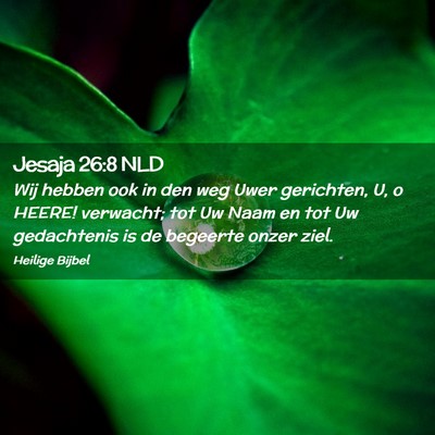 Picture 02 - Jesaja 26:8 NLD - Wij hebben ook in den weg Uwer gerichten, U, o - Bible Verse Picture