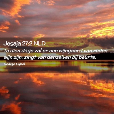Picture 02 - Jesaja 27:2 NLD - Te dien dage zal er een wijngaard van roden wijn - Bible Verse Picture