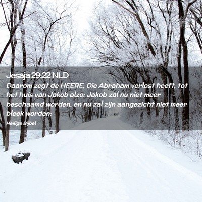 Picture 02 - Jesaja 29:22 NLD - Daarom zegt de HEERE, Die Abraham verlost heeft, - Bible Verse Picture