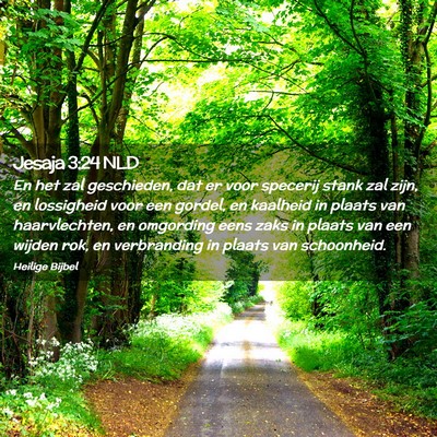Picture 02 - Jesaja 3:24 NLD - En het zal geschieden, dat er voor specerij stank - Bible Verse Picture