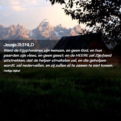 Picture 02 - Jesaja 31:3 NLD - Want de Egyptenaren zijn mensen, en geen God, en - Bible Verse Picture
