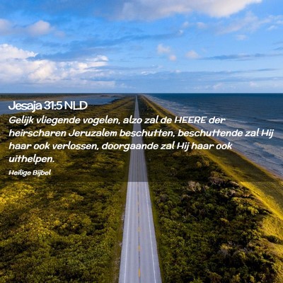 Picture 02 - Jesaja 31:5 NLD - Gelijk vliegende vogelen, alzo zal de HEERE der - Bible Verse Picture