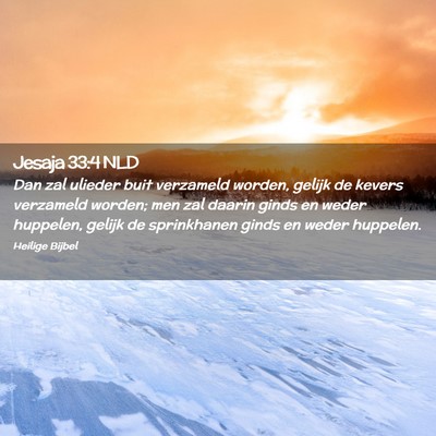 Picture 02 - Jesaja 33:4 NLD - Dan zal ulieder buit verzameld worden, gelijk de - Bible Verse Picture