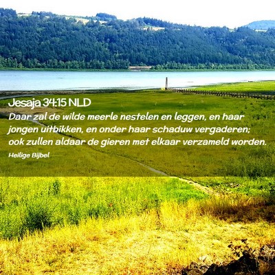 Picture 02 - Jesaja 34:15 NLD - Daar zal de wilde meerle nestelen en leggen, en - Bible Verse Picture