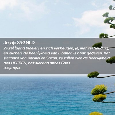 Picture 02 - Jesaja 35:2 NLD - Zij zal lustig bloeien, en zich verheugen, ja, - Bible Verse Picture