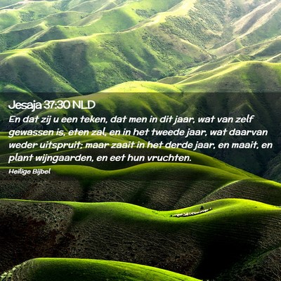 Picture 02 - Jesaja 37:30 NLD - En dat zij u een teken, dat men in dit jaar, wat - Bible Verse Picture