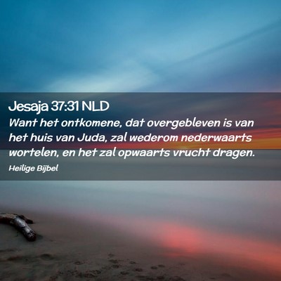 Picture 02 - Jesaja 37:31 NLD - Want het ontkomene, dat overgebleven is van het - Bible Verse Picture