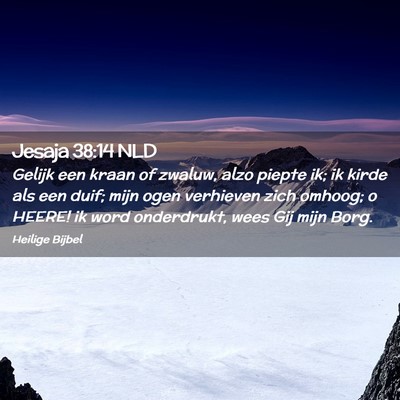 Picture 02 - Jesaja 38:14 NLD - Gelijk een kraan of zwaluw, alzo piepte ik; ik - Bible Verse Picture