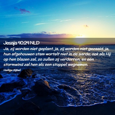 Picture 02 - Jesaja 40:24 NLD - Ja, zij worden niet geplant, ja, zij worden niet - Bible Verse Picture