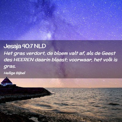 Picture 02 - Jesaja 40:7 NLD - Het gras verdort, de bloem valt af, als de Geest - Bible Verse Picture