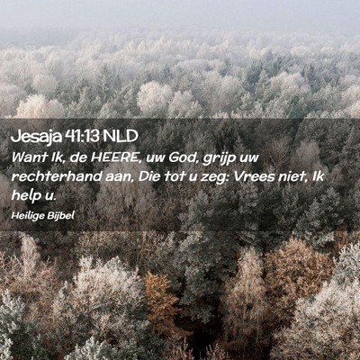 Picture 02 - Jesaja 41:13 NLD - Want Ik, de HEERE, uw God, grijp uw rechterhand - Bible Verse Picture