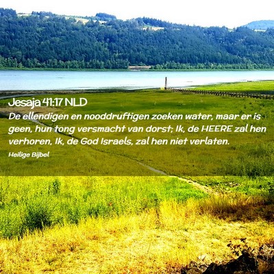 Picture 02 - Jesaja 41:17 NLD - De ellendigen en nooddruftigen zoeken water, maar - Bible Verse Picture