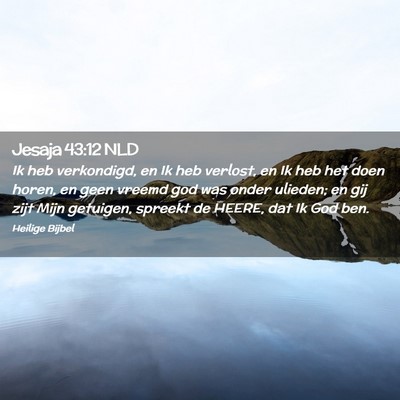Picture 02 - Jesaja 43:12 NLD - Ik heb verkondigd, en Ik heb verlost, en Ik heb - Bible Verse Picture