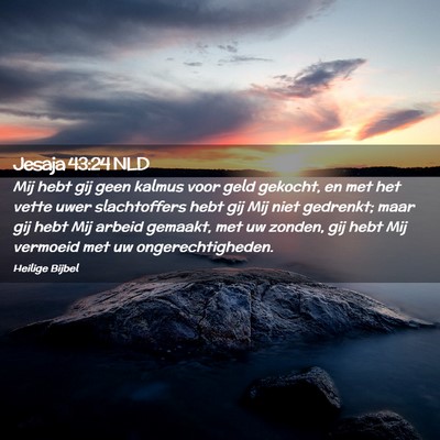 Picture 02 - Jesaja 43:24 NLD - Mij hebt gij geen kalmus voor geld gekocht, en - Bible Verse Picture