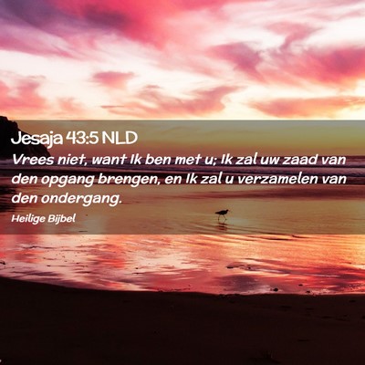 Picture 02 - Jesaja 43:5 NLD - Vrees niet, want Ik ben met u; Ik zal uw zaad van - Bible Verse Picture