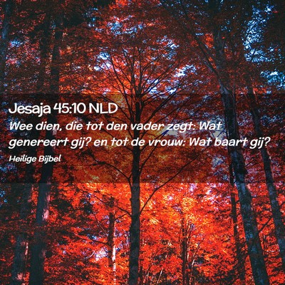 Picture 02 - Jesaja 45:10 NLD - Wee dien, die tot den vader zegt: Wat genereert - Bible Verse Picture