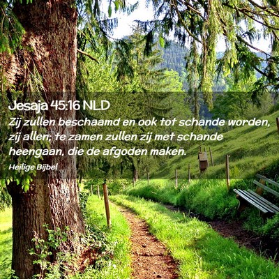 Picture 02 - Jesaja 45:16 NLD - Zij zullen beschaamd en ook tot schande worden, - Bible Verse Picture