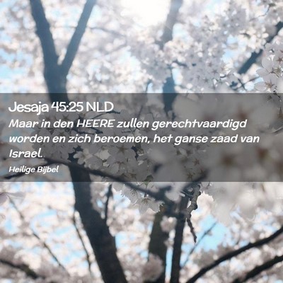 Picture 02 - Jesaja 45:25 NLD - Maar in den HEERE zullen gerechtvaardigd worden - Bible Verse Picture