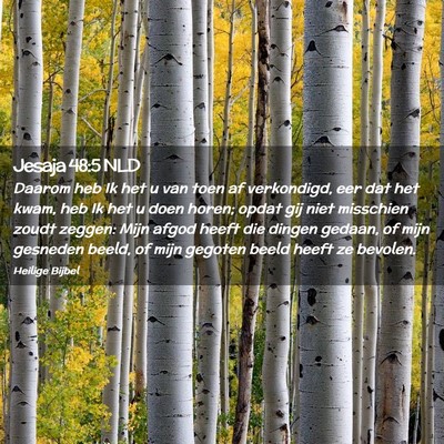 Picture 02 - Jesaja 48:5 NLD - Daarom heb Ik het u van toen af verkondigd, eer - Bible Verse Picture