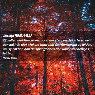 Picture 02 - Jesaja 49:10 NLD - Zij zullen niet hongeren, noch dorsten, en de - Bible Verse Picture