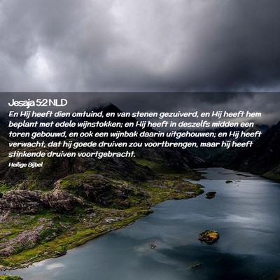 Picture 02 - Jesaja 5:2 NLD - En Hij heeft dien omtuind, en van stenen - Bible Verse Picture
