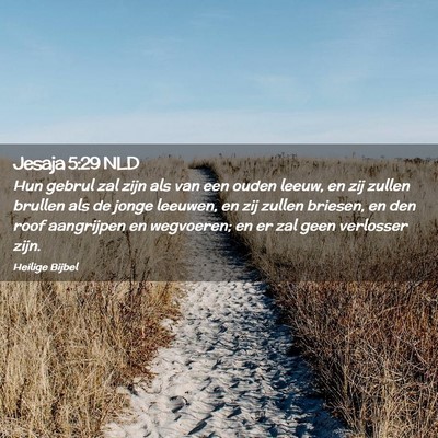 Picture 02 - Jesaja 5:29 NLD - Hun gebrul zal zijn als van een ouden leeuw, en - Bible Verse Picture