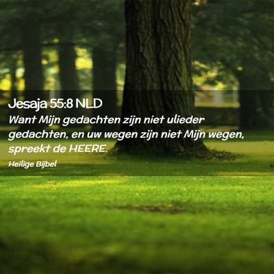 Picture 02 - Jesaja 55:8 NLD - Want Mijn gedachten zijn niet ulieder gedachten, - Bible Verse Picture