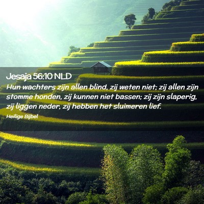 Picture 02 - Jesaja 56:10 NLD - Hun wachters zijn allen blind, zij weten niet; - Bible Verse Picture