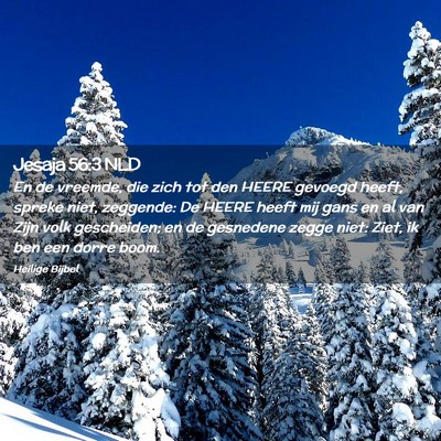 Picture 02 - Jesaja 56:3 NLD - En de vreemde, die zich tot den HEERE gevoegd - Bible Verse Picture