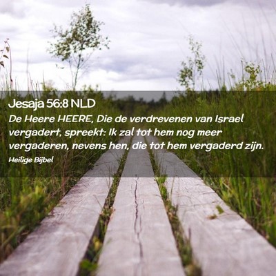 Picture 02 - Jesaja 56:8 NLD - De Heere HEERE, Die de verdrevenen van Israel - Bible Verse Picture