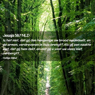 Picture 02 - Jesaja 58:7 NLD - Is het niet, dat gij den hongerige uw brood - Bible Verse Picture
