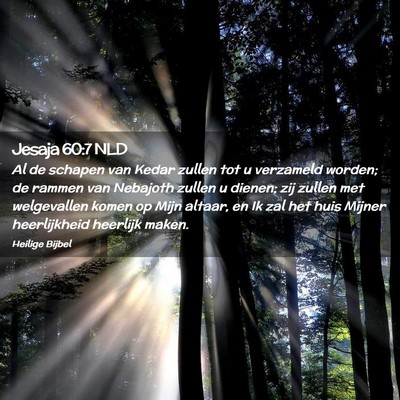 Picture 02 - Jesaja 60:7 NLD - Al de schapen van Kedar zullen tot u verzameld - Bible Verse Picture